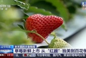 国产视频草莓,甜蜜滋味，映照时代光影